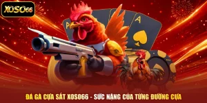 Đá Gà Cựa Sắt XOSO66 - Sức Nặng Của Từng Đường Cựa