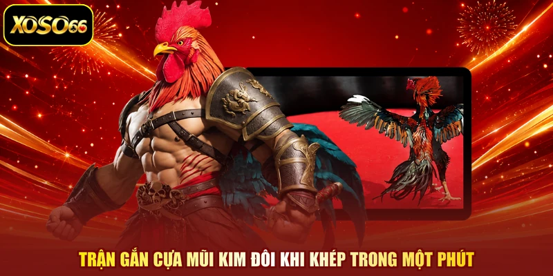Trận gắn cựa mũi kim đôi khi khép trong một phút